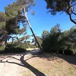 Apartment Presqu'ile De Giens - Hameau De La Pinede